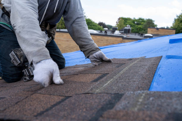 Best Roof Waterproofing Services  in Oak Bluffs, MA